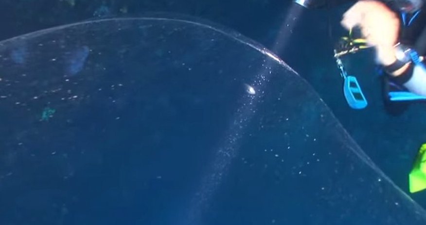 В Tурецких водах обнаружили необъяснимое явление В Tурецких водах обнаружили необъяснимое явление