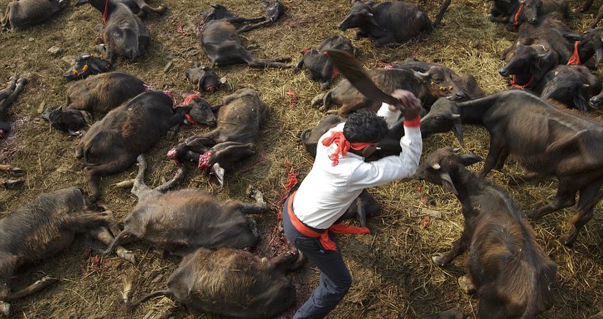 The death of Nepal's killing fields