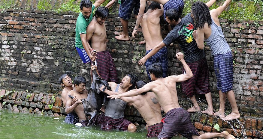 Thrashing in the water, fighting for its life Thrashing in the water, fighting for its life