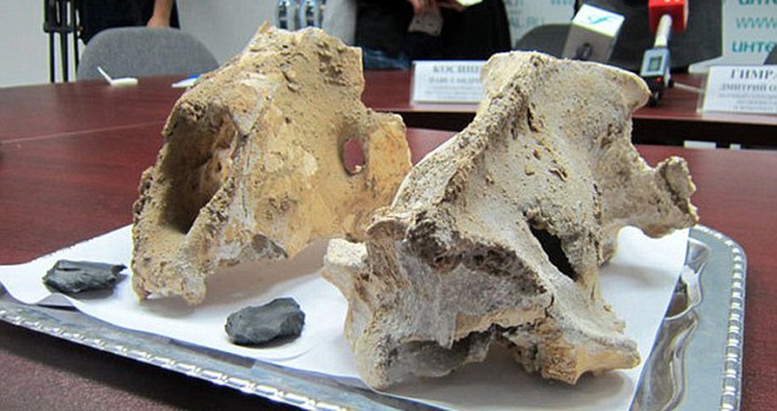 Sacred cave where GIANT LIONS were sacrificed 60,000 years ago discovered in Russia