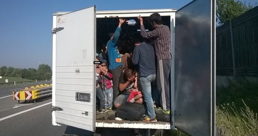 Avstriyada ölən miqrantların sayı 71-dir Avstriyada ölən miqrantların sayı 71-dir