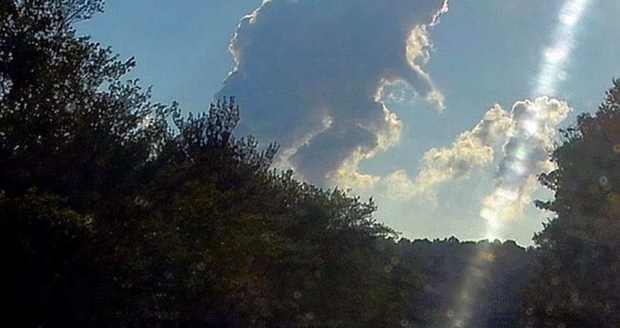Watch out, it's Cloudzilla! Watch out, it's Cloudzilla!