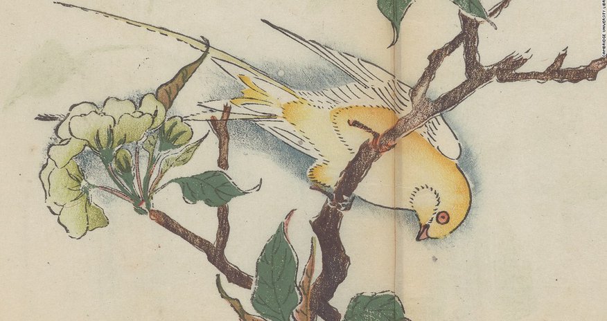 Inside the world's oldest multicolor printed book Inside the world's oldest multicolor printed book