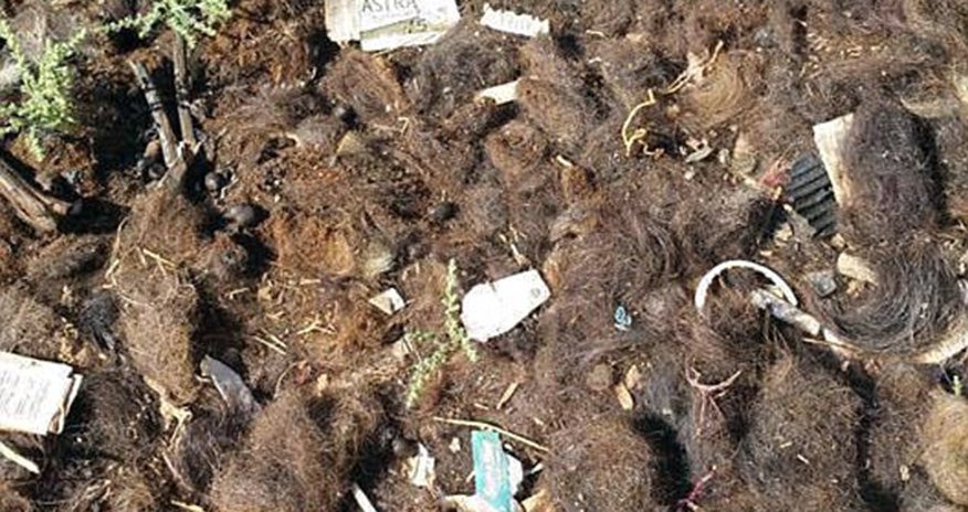 Terrified jihadists leave their BEARDS on the battlefield Terrified jihadists leave their BEARDS on the battlefield