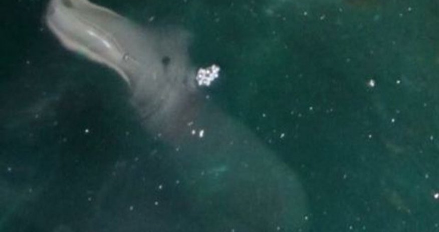 What lies beneath? What lies beneath?