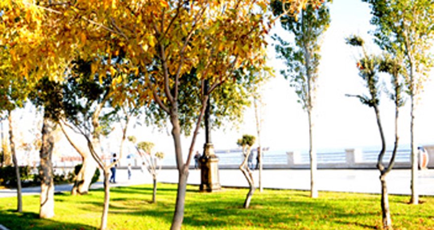 Baku weather forecast for Nov. 5 Baku weather forecast for Nov. 5