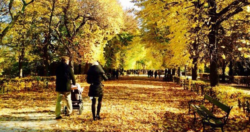 Avropa şəhərləri: Qızıl Vyana - FOTOREPORTAJ Avropa şəhərləri: Qızıl Vyana - FOTOREPORTAJ