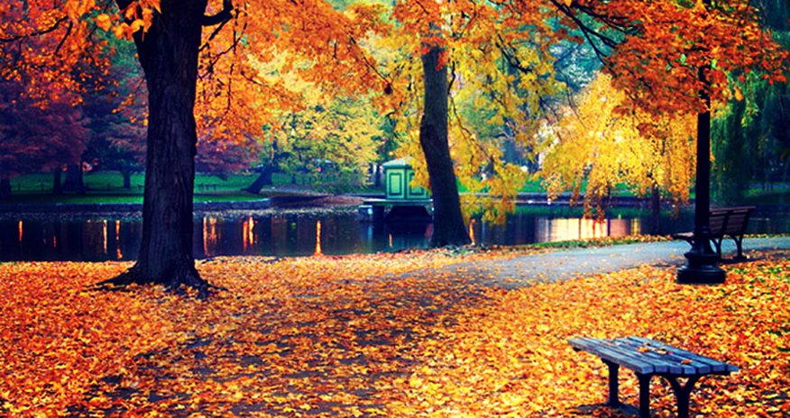 Havanın temperaturu yüksələcək Havanın temperaturu yüksələcək