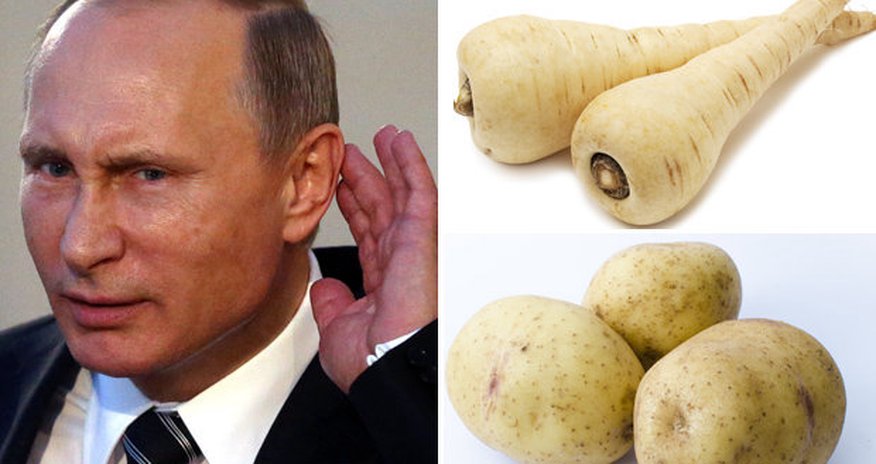Vladimir Putin puts WAR on back-burner…to focus on diet Vladimir Putin puts WAR on back-burner…to focus on diet