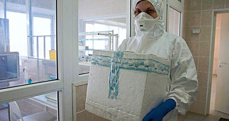 Свиной грипп в Азербайджане не выявлен Свиной грипп в Азербайджане не выявлен
