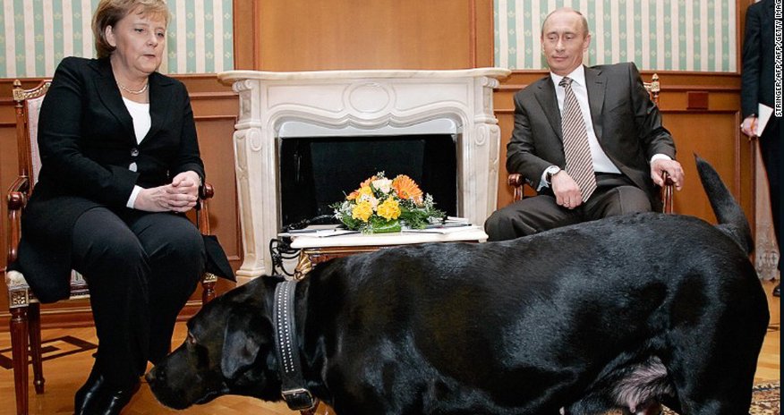 Vladimir Putin: I didn't mean to scare Angela Merkel with my dog Vladimir Putin: I didn't mean to scare Angela Merkel with my dog