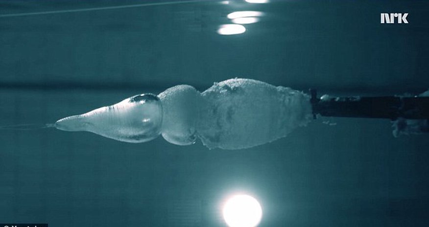 Why you can’t shoot a gun underwater Why you can’t shoot a gun underwater