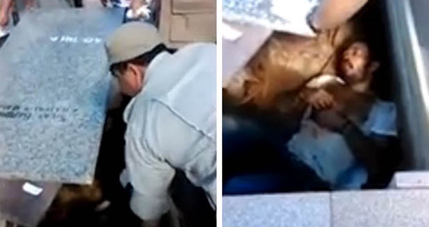 Moment 'dead' man is found alive in tomb Moment 'dead' man is found alive in tomb