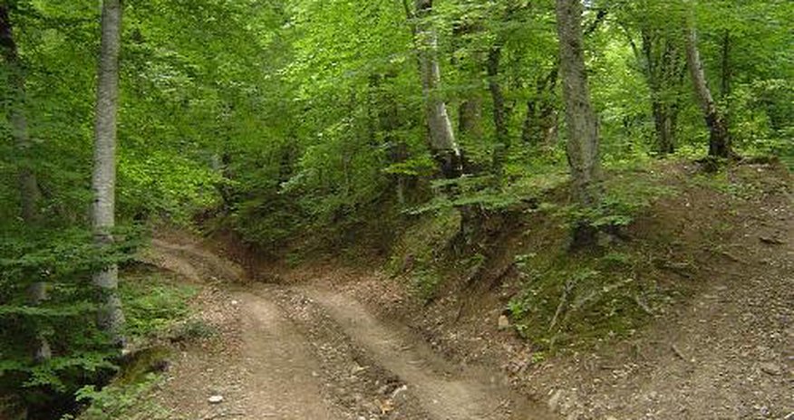 Azerbaijan: Sustainable tourism discussed at forestry seminar Azerbaijan: Sustainable tourism discussed at forestry seminar
