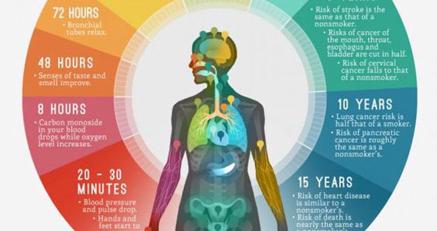 This is what happens to your body after you quit smoking This is what happens to your body after you quit smoking