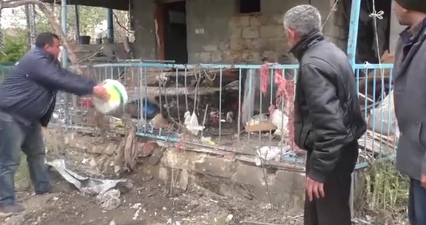 Ermənilər Tərtərdə 100-dən artıq mal-qaranı məhv edib Ermənilər Tərtərdə 100-dən artıq mal-qaranı məhv edib