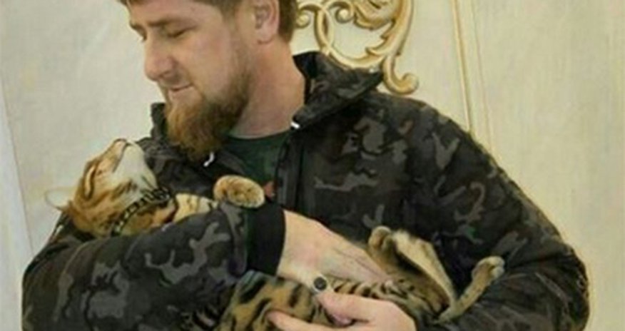 От Кадырова сбежала кошка От Кадырова сбежала кошка