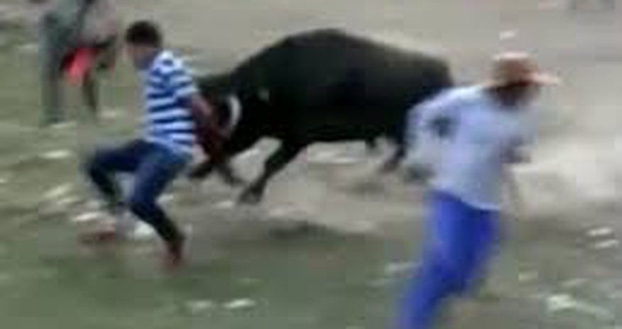 Быки напали на людей - ВИДЕО Быки напали на людей - ВИДЕО