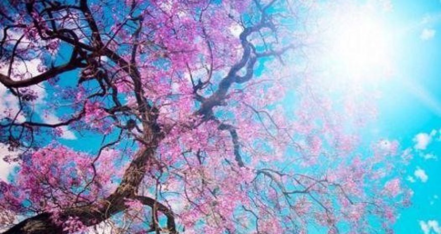 Sabaha olan hava proqnozu açıqlandı Sabaha olan hava proqnozu açıqlandı