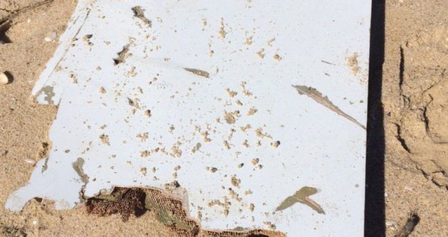 MH370: BBC reader finds possible debris in Mozambique MH370: BBC reader finds possible debris in Mozambique