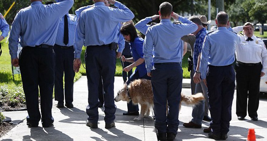 Last known surviving 9/11 search and rescue dog laid to rest Last known surviving 9/11 search and rescue dog laid to rest
