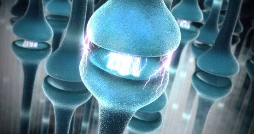 'Hacking nerves can control disease' 'Hacking nerves can control disease'