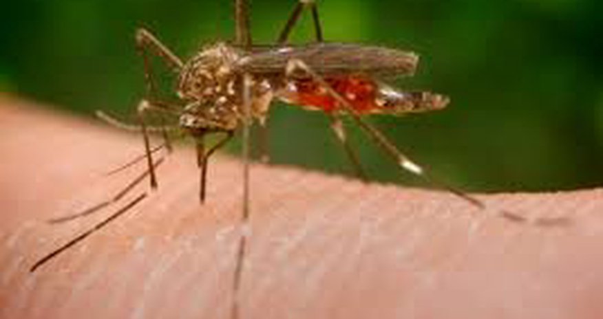 Obama says U.S. funding to fight Zika is rapidly running out Obama says U.S. funding to fight Zika is rapidly running out