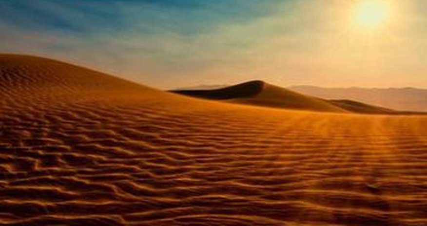 July 2016 was world's hottest month since records began July 2016 was world's hottest month since records began