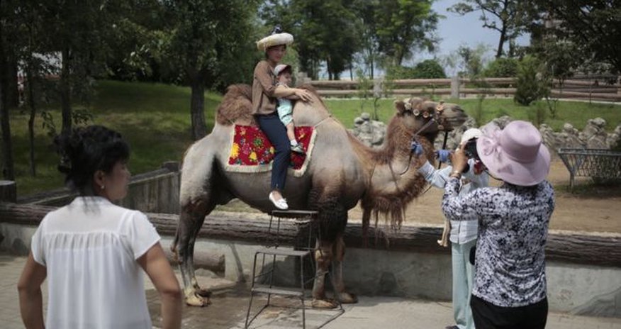 North Korea's national zoo: Donkeys, dinosaurs and dogs North Korea's national zoo: Donkeys, dinosaurs and dogs