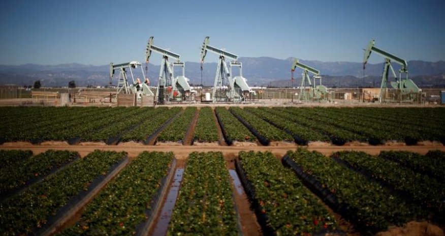 Oil pulls back after big jump on U.S. crude stock draw Oil pulls back after big jump on U.S. crude stock draw