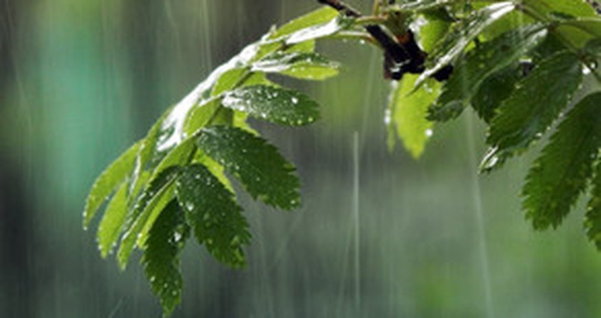 Baku weather forecast for Sep.24 Baku weather forecast for Sep.24