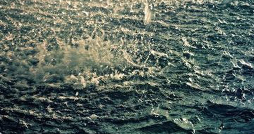 Emergency Ministry rescues 17 people in Baku Emergency Ministry rescues 17 people in Baku