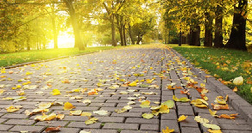 Baku weather forecast for Oct.11 Baku weather forecast for Oct.11