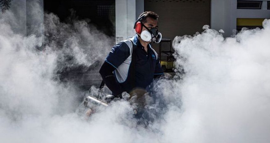 Zika virus likely to spread across Asia, says WHO Zika virus likely to spread across Asia, says WHO