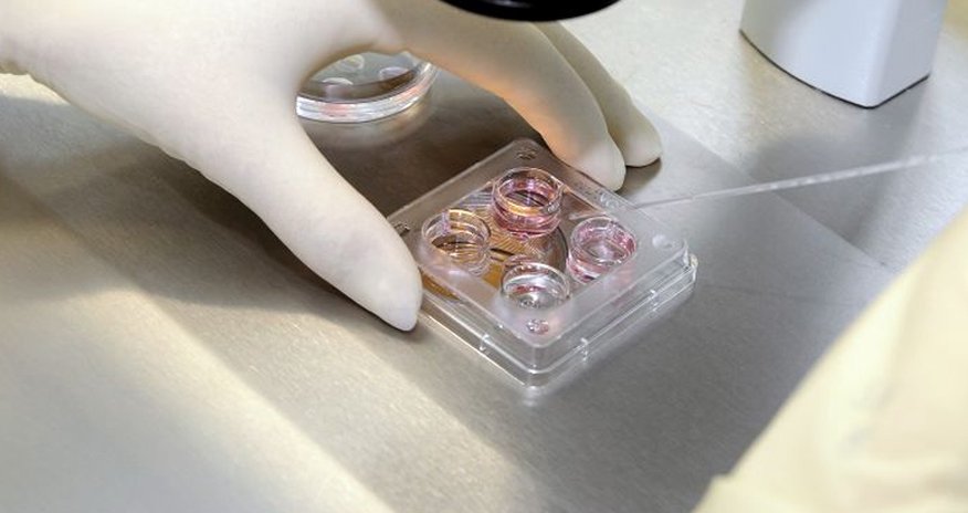 Bu şəhərdə İİV epidemiyası elan olundu Bu şəhərdə İİV epidemiyası elan olundu
