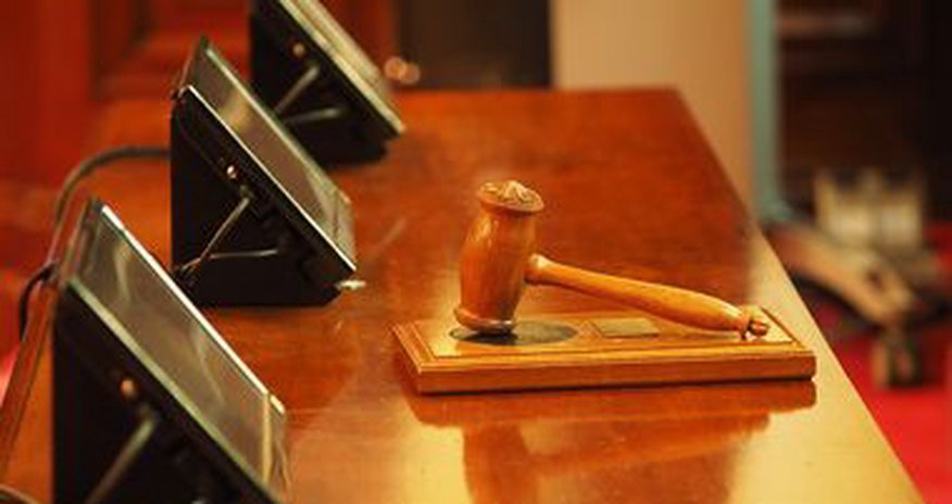 Отсудил право быть Зеброй Отсудил право быть Зеброй