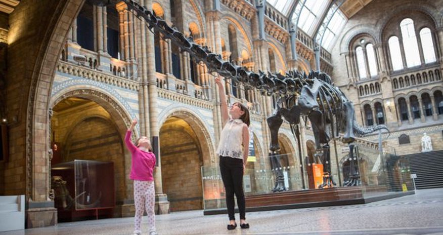 Dippy dinosaur's national tour stops announced Dippy dinosaur's national tour stops announced