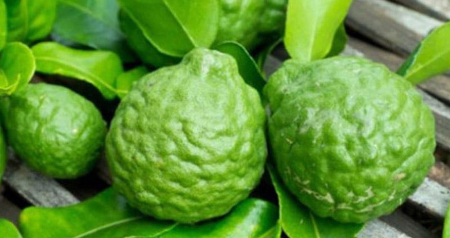 Bu meyvə ürək üçün çox faydalıdır Bu meyvə ürək üçün çox faydalıdır