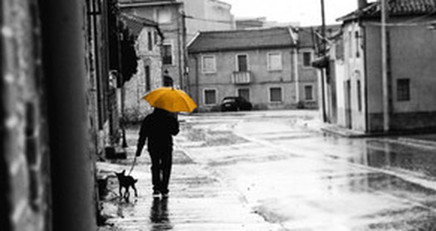 Baku weather forecast for Nov. 19 Baku weather forecast for Nov. 19