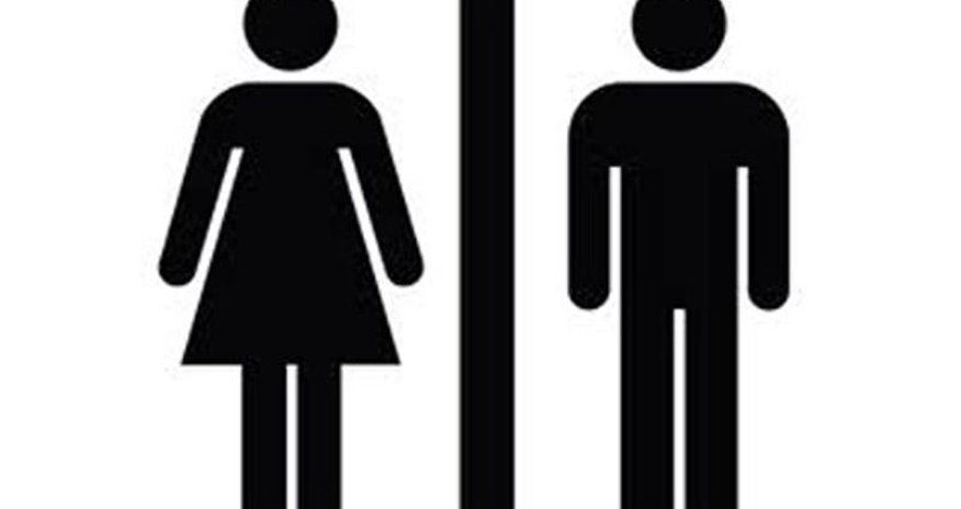 Azərbaycanda "Gender bərabərliyi üzrə Milli Fəaliyyət Planı" hazırlanacaq Azərbaycanda "Gender bərabərliyi üzrə Milli Fəaliyyət Planı" hazırlanacaq