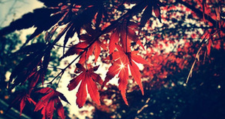 Baku weather forecast for Nov.29 Baku weather forecast for Nov.29