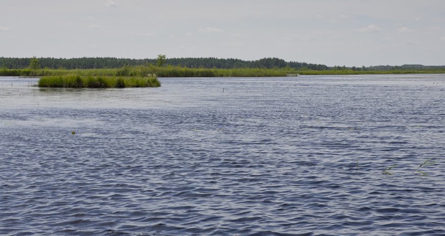 Уровень воды в озере Забрат поднялся Уровень воды в озере Забрат поднялся