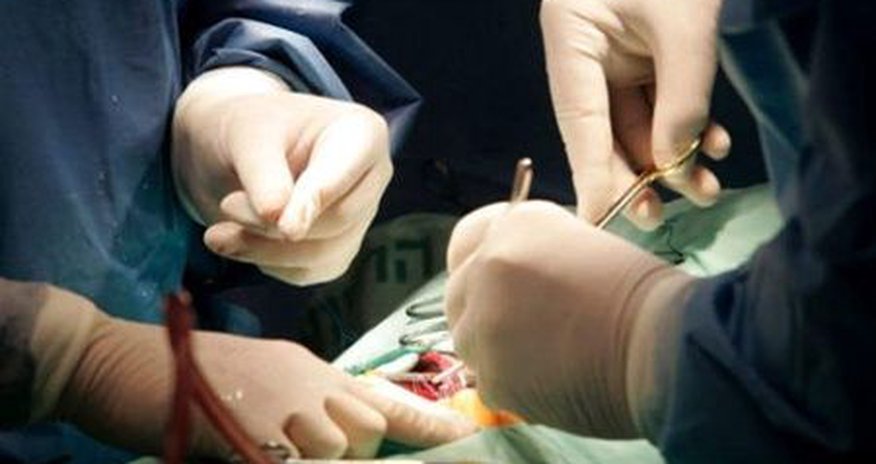 Transplantologiya işinin təşkili üzrə Əlaqələndirici Şura yaradıldı Transplantologiya işinin təşkili üzrə Əlaqələndirici Şura yaradıldı