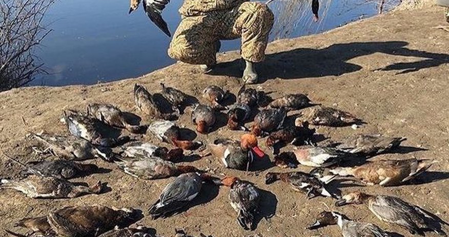 Арабы учинили зверства в Азербайджане -ФОТО Арабы учинили зверства в Азербайджане -ФОТО