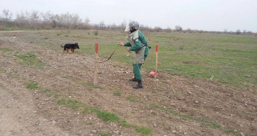 Cocuq Mərcanlıda mina aşkar edilib Cocuq Mərcanlıda mina aşkar edilib