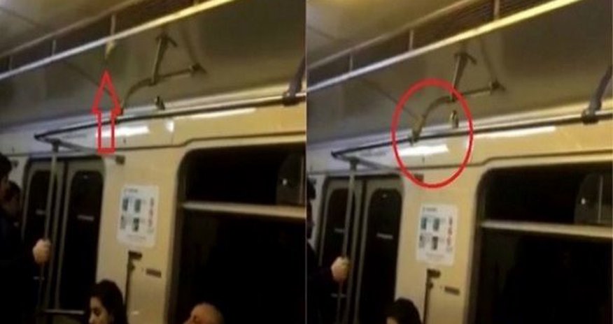 Воробьи в бакинском метро Воробьи в бакинском метро