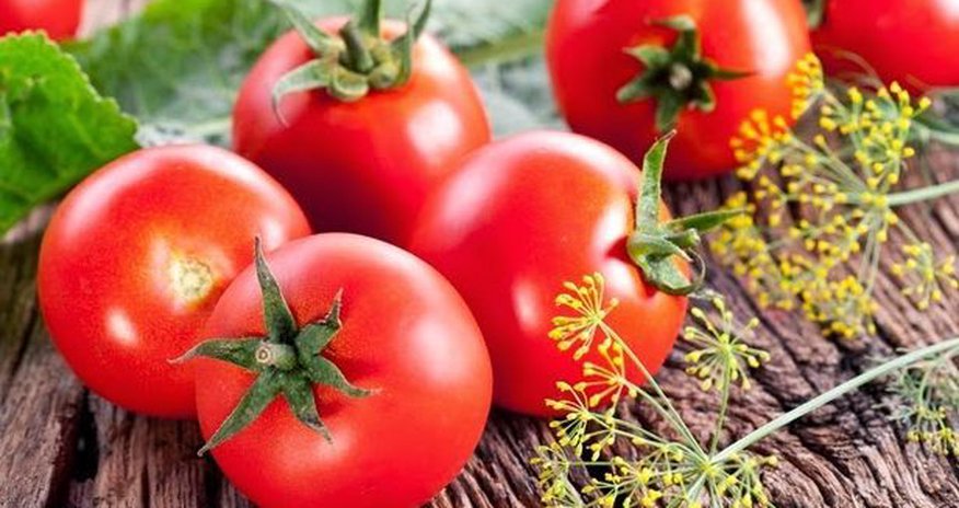 Bərk pomidorları alarkən diqqətli olun Bərk pomidorları alarkən diqqətli olun