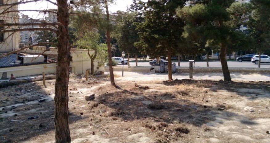 Nazirlik Bakıda ağacların qanunsuz kəsilməsi ilə bağlı polisə müraciət edib Nazirlik Bakıda ağacların qanunsuz kəsilməsi ilə bağlı polisə müraciət edib