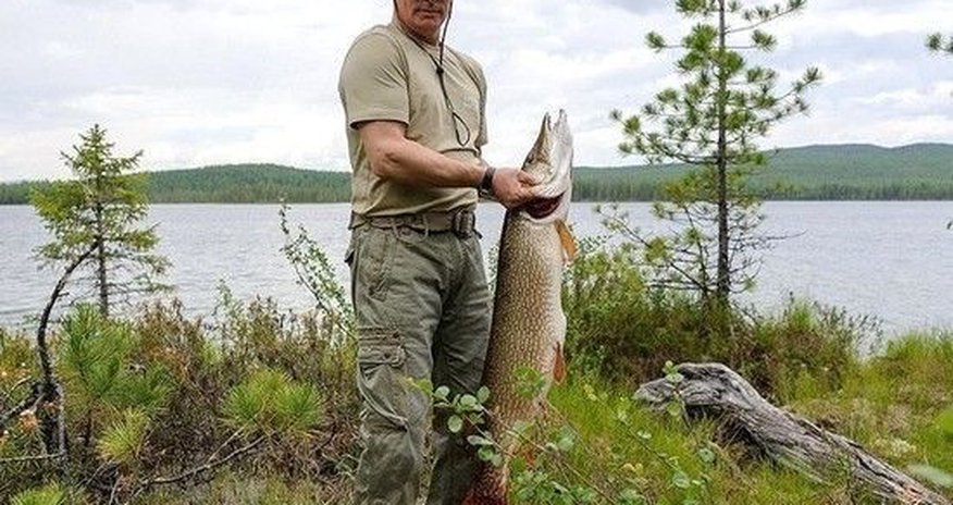 Появилось видео подводной охоты Путина в Туве – ВИДЕО Появилось видео подводной охоты Путина в Туве – ВИДЕО