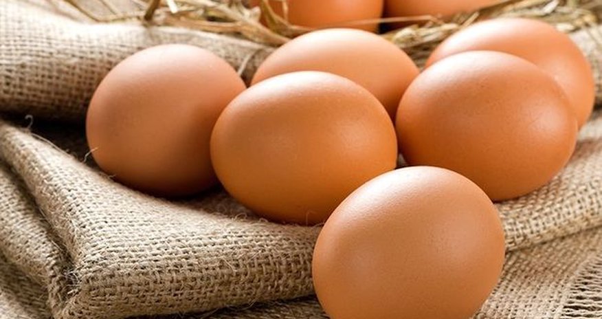 Quşçuluq fabrikləri zəhərli yumurta iddiası ilə bağlandı Quşçuluq fabrikləri zəhərli yumurta iddiası ilə bağlandı